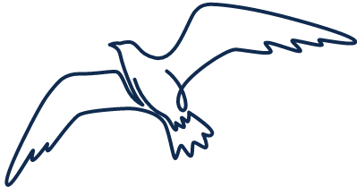 event calendar seagull image