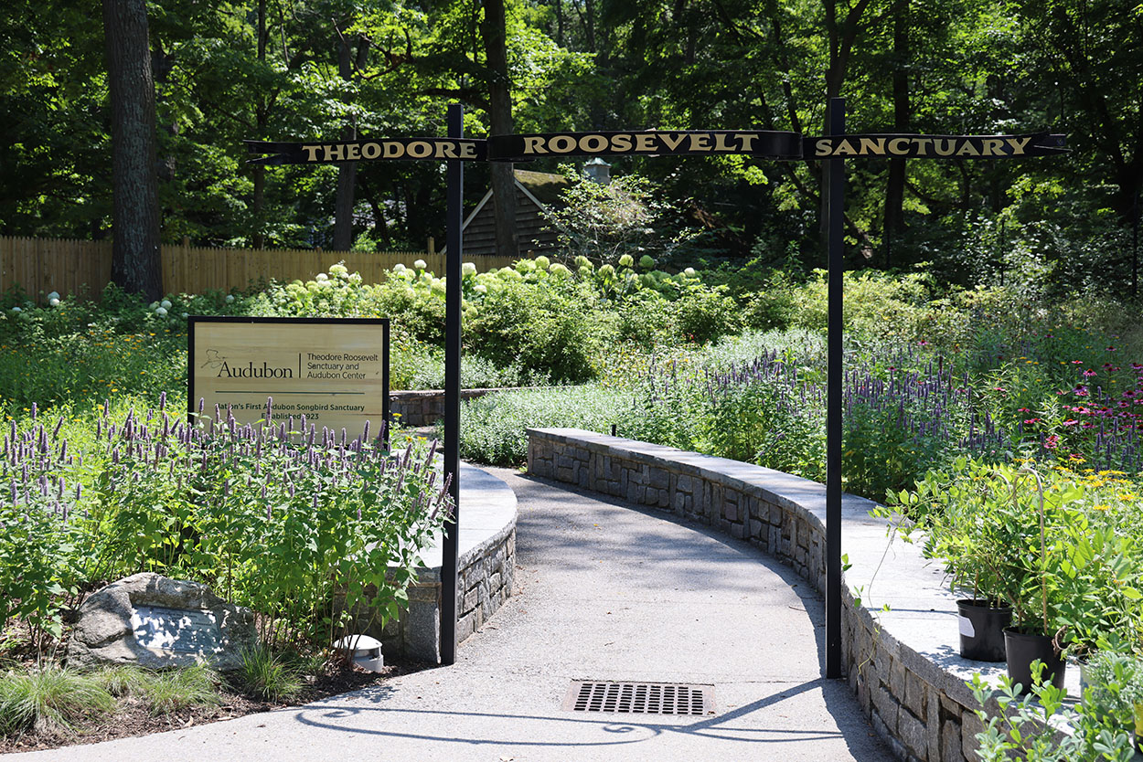 Theodore Roosevelt Sanctuary and Audubon Center